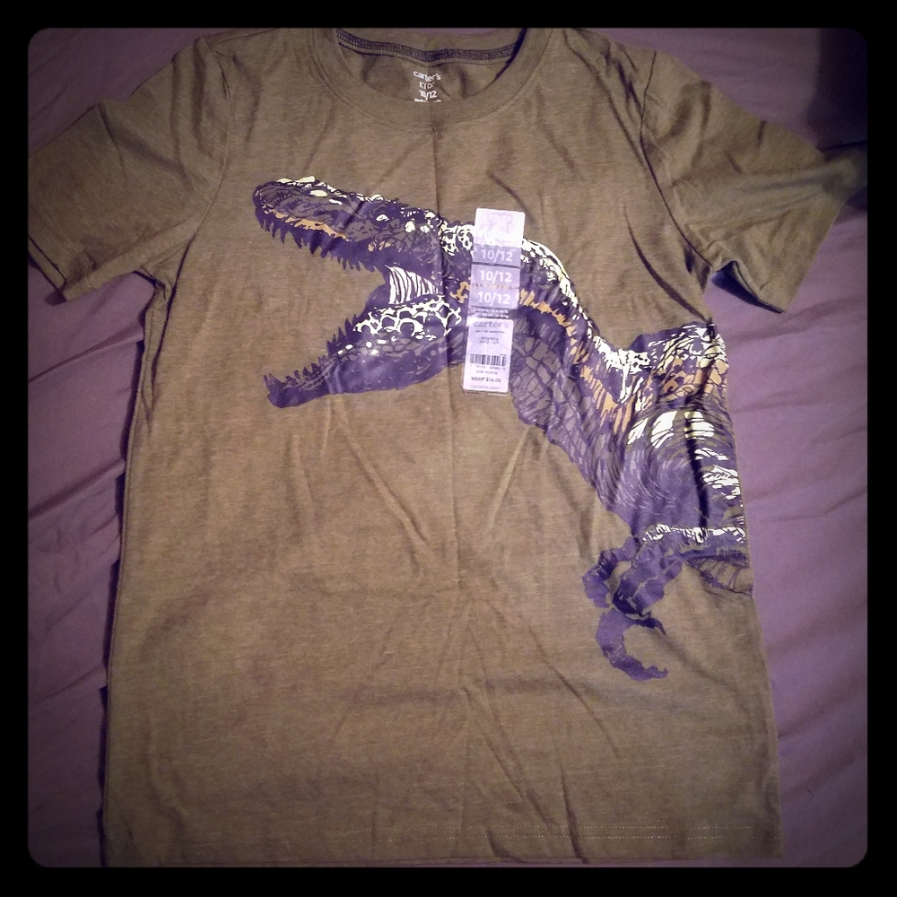 6 Large kids shirts 10/12